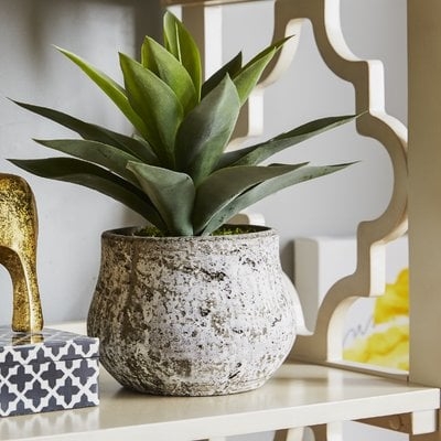 Artificial Succulent Desk Top Plant in Decorative Decorative Vase - Image 0
