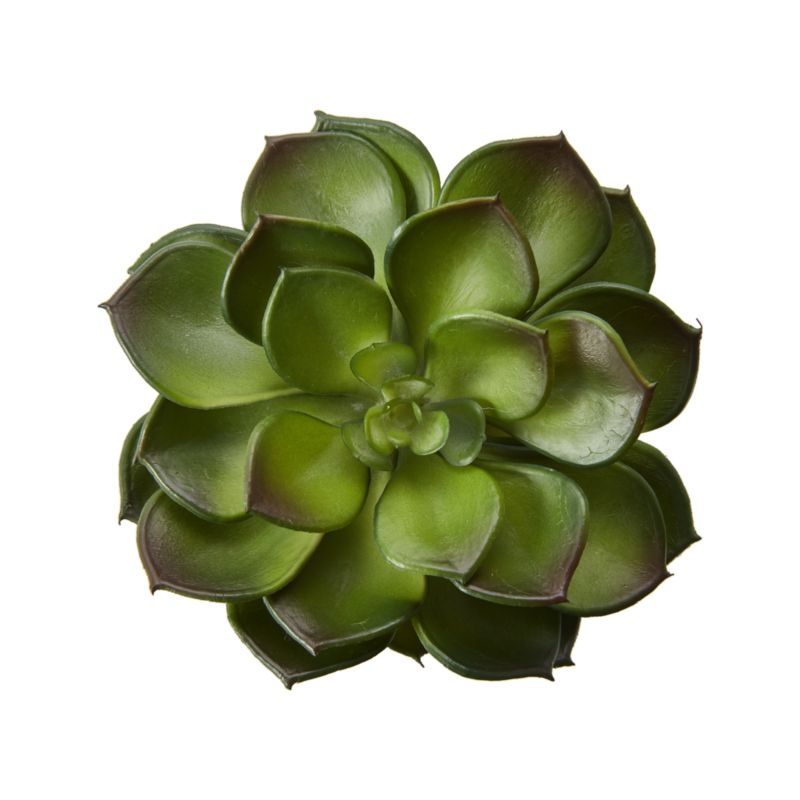 Faux Echeveria Green Succulent Stem - Image 3