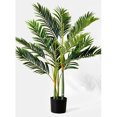 Bay Isle Home Golden Cane Palm Tree In Black Pot, Greenery For A Tropical Vibe, Measures 3 Feet Tall - Image 0