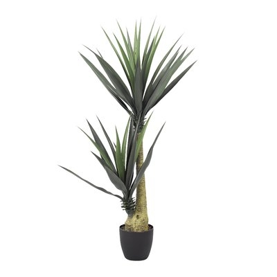 Floor Aloe Plant in Planter - Image 0