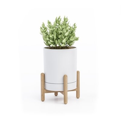 Mauro Tabletop Plant Stand - Image 0