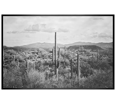Saguaro Desert Landscape Jennifer Meyers 28x42 Wood Gallery Black No Mat - Image 2