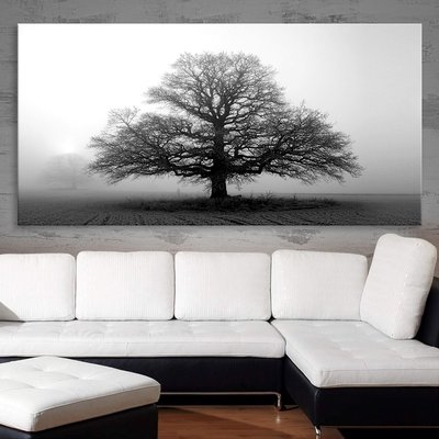 'Tree in the Mist' Photographic Print on Canvas - Image 0