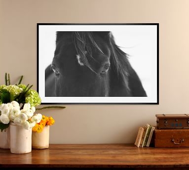 Black Horse Portrait Framed Print by Jennifer Meyers, 28 x 42 Wood Gallery, Black, Mat - Image 1