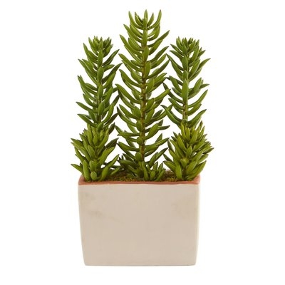 Artificial Desktop Succulent Plant in Decorative Vase - Image 0