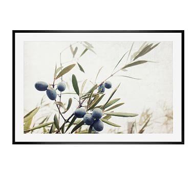 Olive Branches Paper Print by Lupen Grainne, 42 x 28", Wood Gallery, Black, Mat - Image 0
