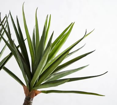 Faux Yucca Branch - Image 1