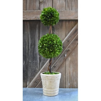 Beyer Preserved Boxwood Faux Topiary - Image 0