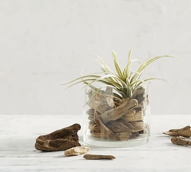 Driftwood Decorative Filler, Natural, One Bag - Image 0