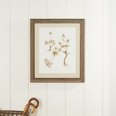 'Botanical' Picture Frame Print - Image 0