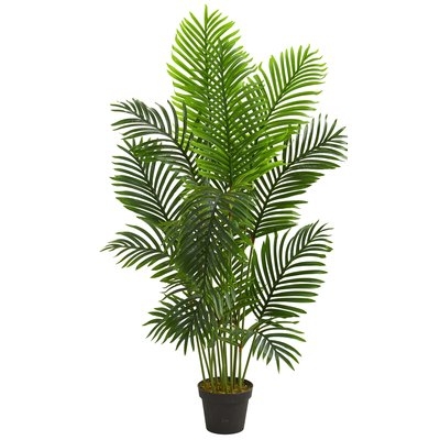 Paradise Floor Palm Tree in Planter 60'' H - Image 0