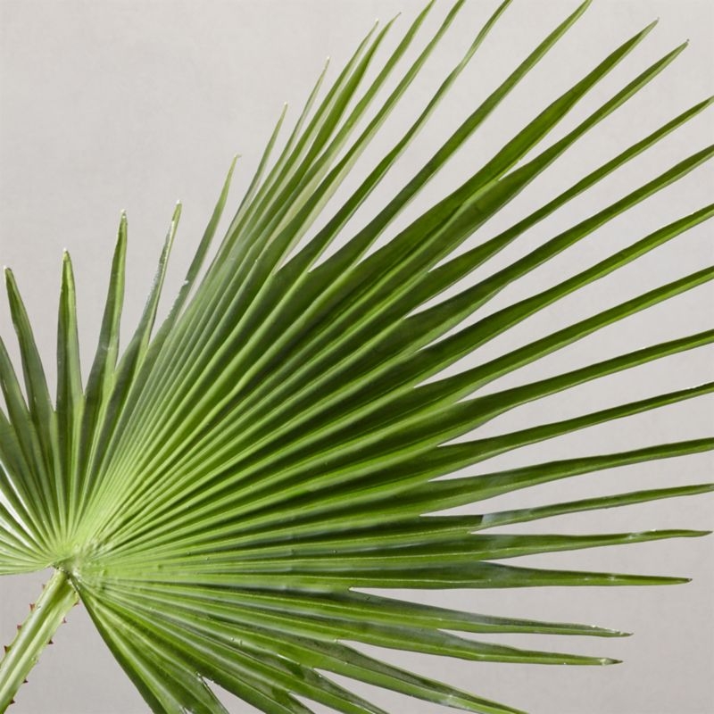 Faux Potted Fan Palm Tree - Image 1