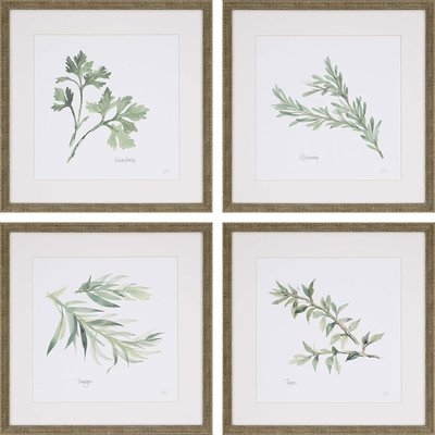 'Herbs' 4 Piece Framed Graphic Art Print Set - Image 0
