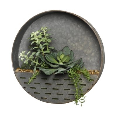 Frosted Echeveria, Tree and Rosemary Succulent in Metal Wall Sconce - Image 0