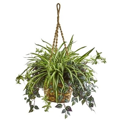 Wandering Jew and Spider Artificial Foliage Plant in Hanging Basket