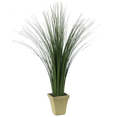 Tall Floor Grass in Pot - Image 0