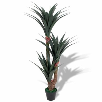 Yucca Plant in Pot - Image 0