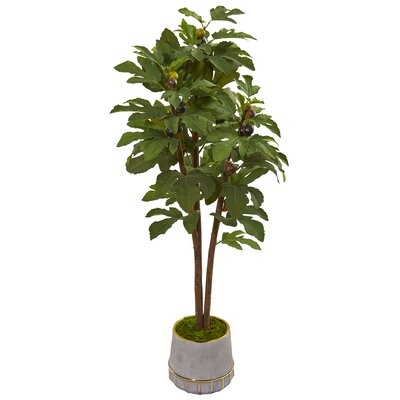 Fig Tree in Decorative Vase - Image 0