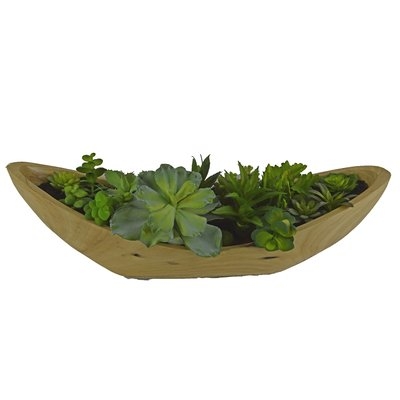 Desktop Succulent Plant in Wooden Pot - Image 0