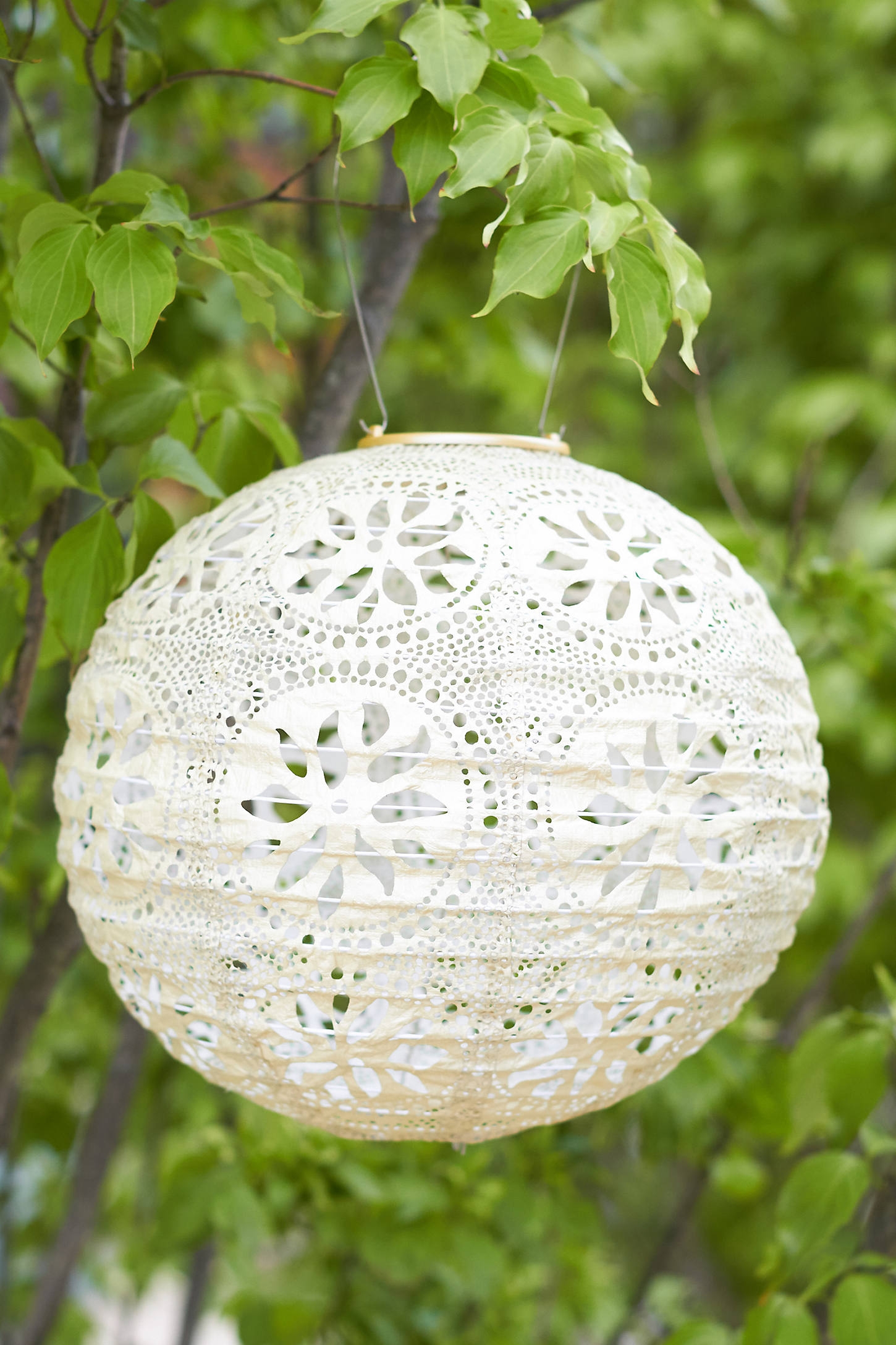 Floral Lace Solar Lantern By Terrain in White - Image 0