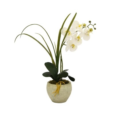Faux White Orchid Desktop Flowering Plant in Pot - Image 0