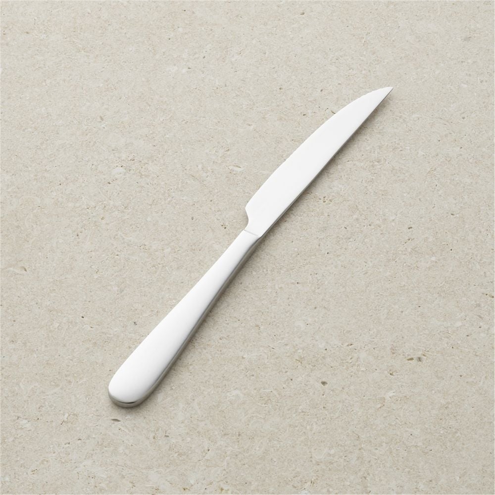Fusion Satin Steak Knife - Image 0
