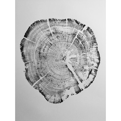 'West Glacier National Park Tree Ring Print' Graphic Art - Image 0