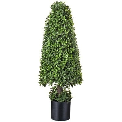 American Boxwood Topiary in Pot - Image 0