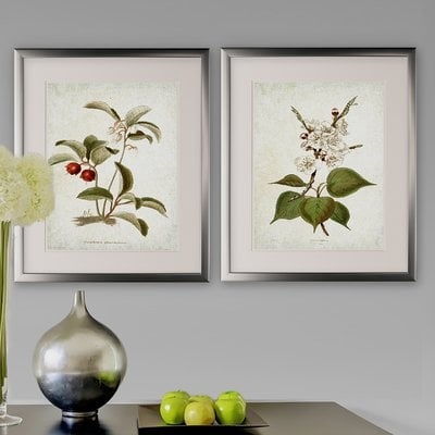 'Vintage Botanical Sketch IV' 2 Piece Framed Acrylic Painting Print Set - Image 0