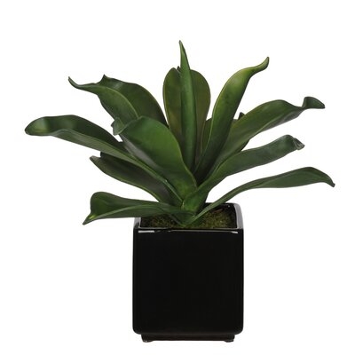 Faux Foxtail Agave Eva Succulent, Black Ceramic Vase, 15" - Image 0
