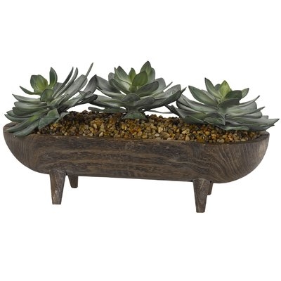 Echeveria Succulent in Wooden Dough Bowl with Legs - Image 0