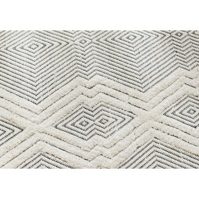 Tufted Tribal Hand-Woven Black/White Area Rug - Image 1