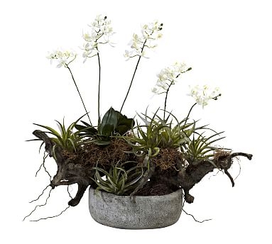 Faux Potted Orchid and Succulent Garden - Image 0