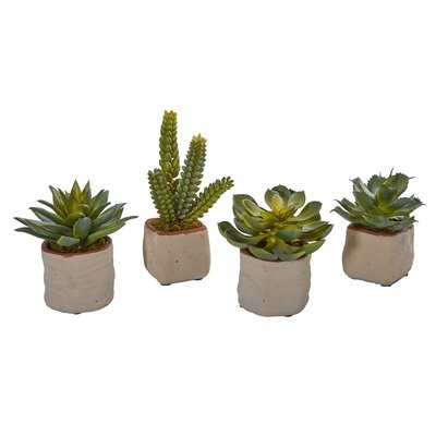 4 Piece Succulent Desktop Plant Set - Image 0
