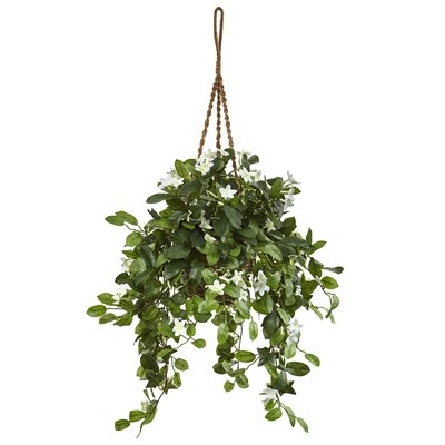 Artificial Stephanotis Flowering Hanging Plant in Basket - Image 0