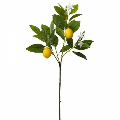 Baby Lemon Branch - Image 0