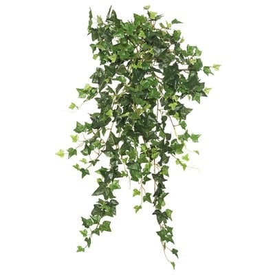 Mini Hanging Bush Ivy Plant - Image 0