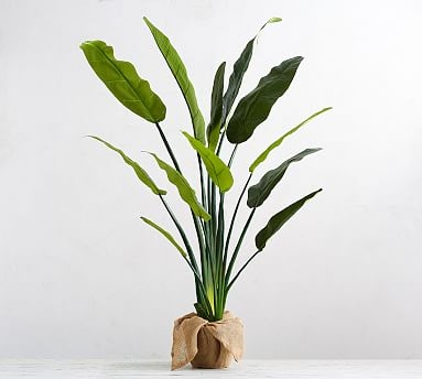 Faux Potted Bird of Paradise Palm Tree - Image 0