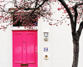 A Study in Pink -17x24 no mat - Image 0