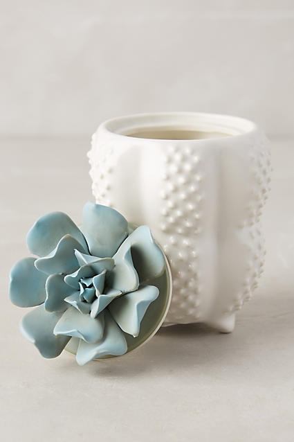 Succulent Candle - Moroccan Mint - Image 0
