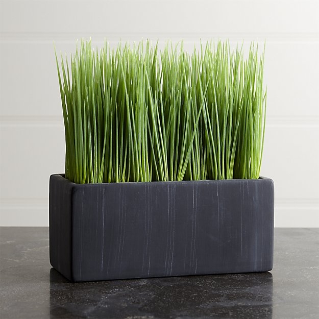 Large Potted Grass - Image 1
