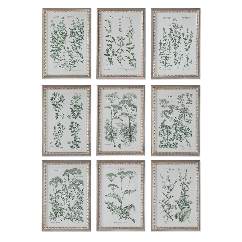 Herb Garden, S/9- 14'' x 20''-Silver frame without mat - Image 0