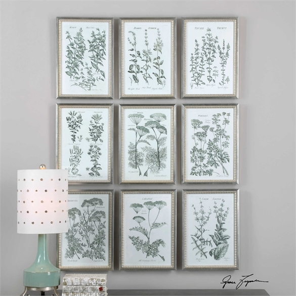 Herb Garden, S/9- 14'' x 20''-Silver frame without mat - Image 1