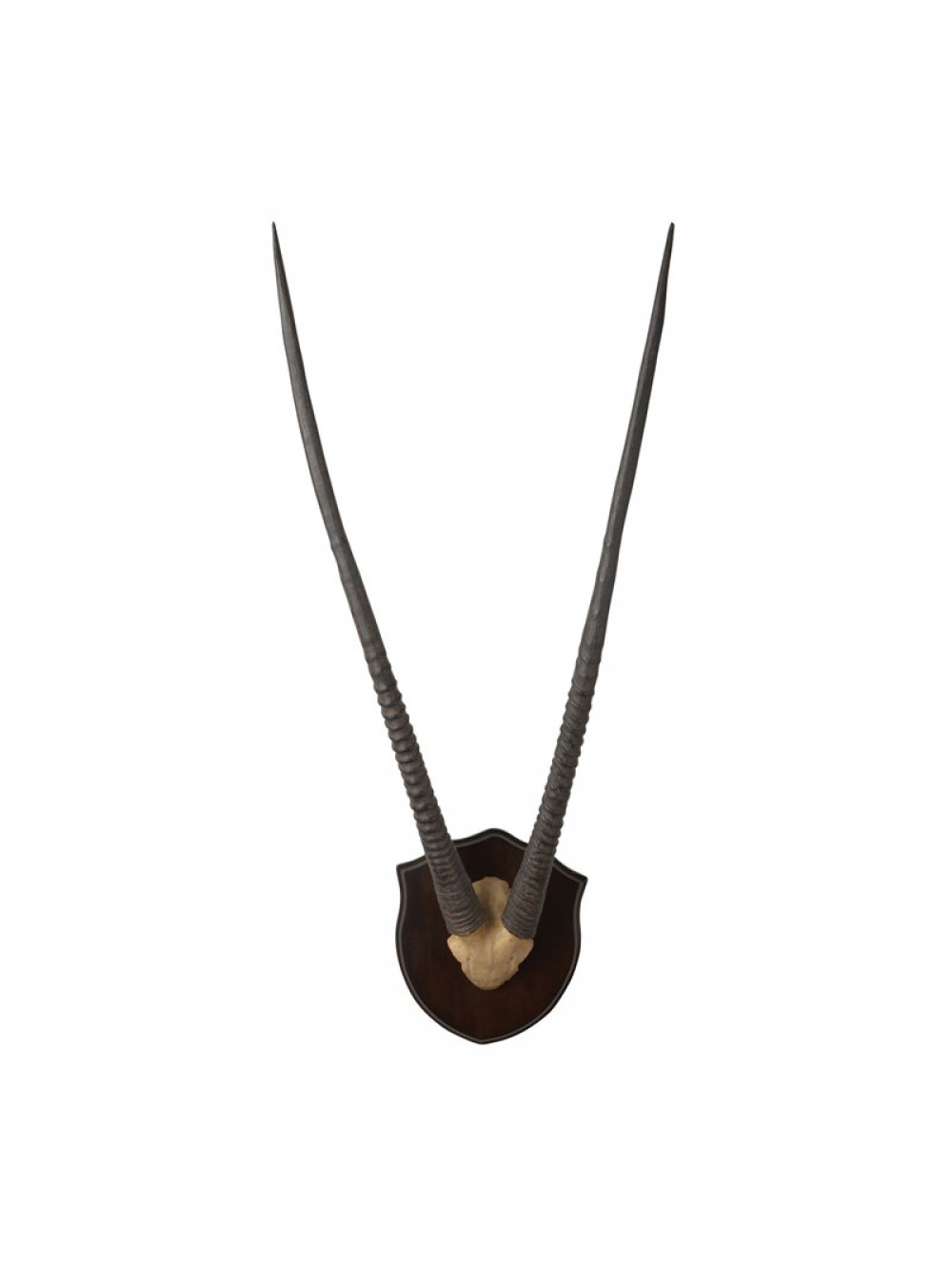 Blayton Gazelle Horns, Dark Wood - Image 0