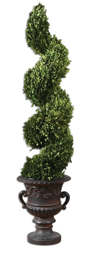 Preserved Boxwood, Spiral Topiary - Image 0