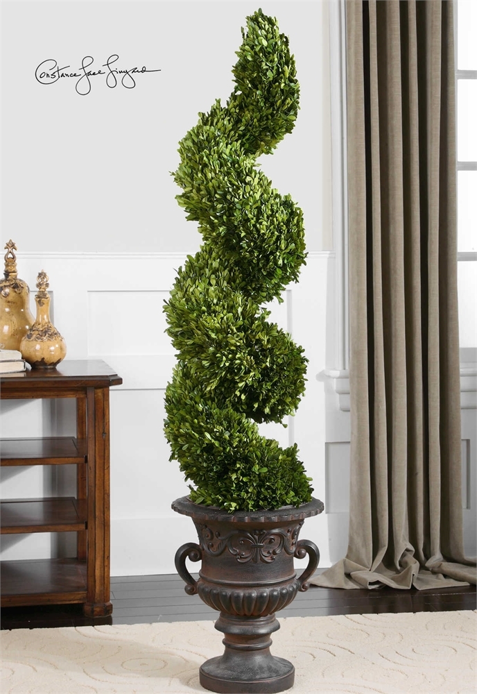 Preserved Boxwood, Spiral Topiary - Image 1