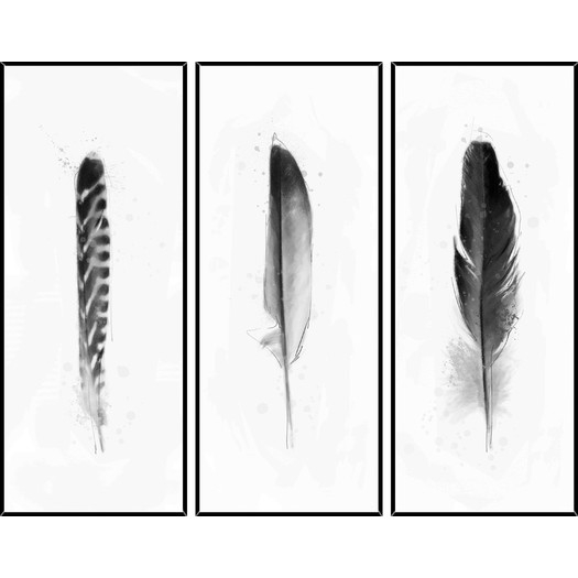 3 Piece Feathers Framed Graphic Art Set - 40.5x16.5 - Framed - Image 0