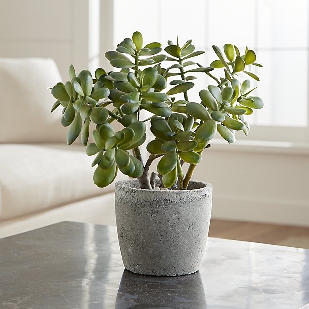 Potted Artificial Jade Plant - Image 1