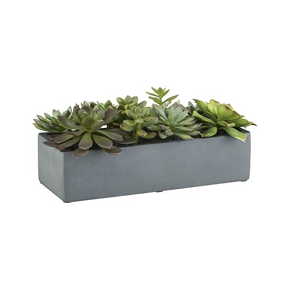 Artificial Succulents in a Pot - Image 0