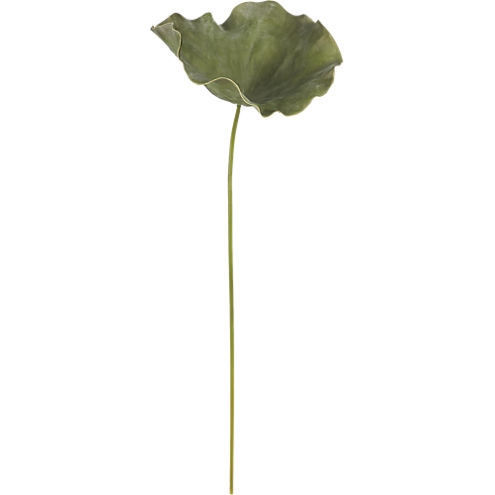 Lotus leaf 40" - Image 0